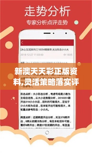 新奥天天免费资料公开,新奥天天免费资料公开，探索与启示