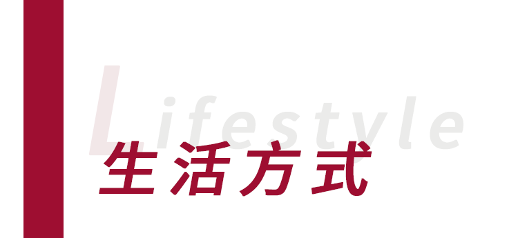 2024新澳资料免费精准,2024新澳资料免费精准，探索最新资源与信息的交汇点