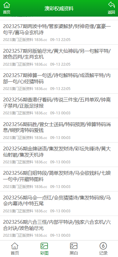 2024澳门资料正版大全,澳门正版资料大全——警惕犯罪风险，切勿参与非法活动