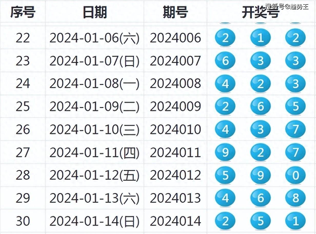 2024年最新开奖结果,揭秘2024年最新开奖结果，幸运与期待交织的盛宴