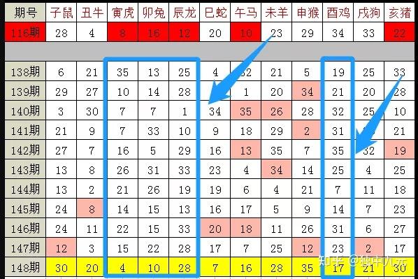 2024十二生肖49个码,十二生肖与2024年之49个码，探寻背后的神秘联系