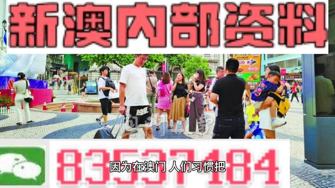 2024年新澳门免费资料大全,探索2024年新澳门免费资料大全，深度解析与实用指南