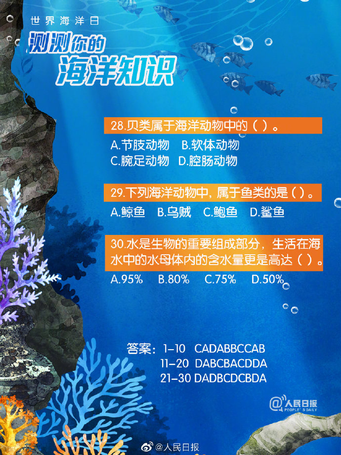 49资料免费大全2023年,探索知识的海洋，49资料免费大全2023年