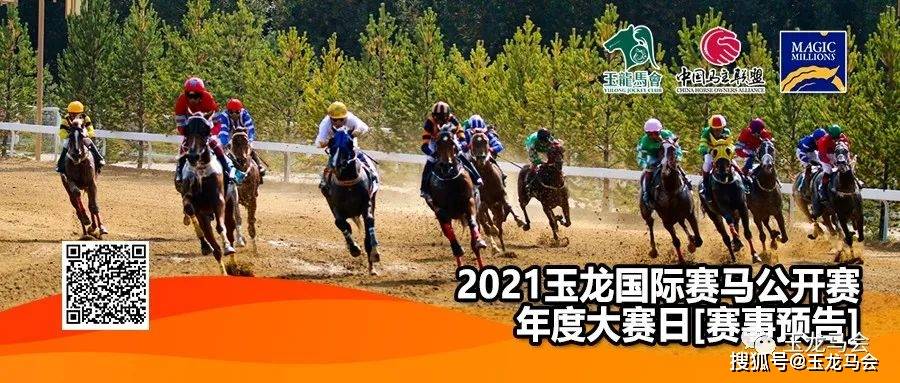 香港今晚开什么特马,香港今晚开什么特马，探索赛马文化及其影响